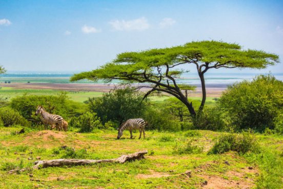 Safari v Tanzanii a exotický Zanzibar