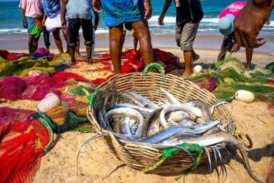 Srí Lanka v duchu Ájurvédy