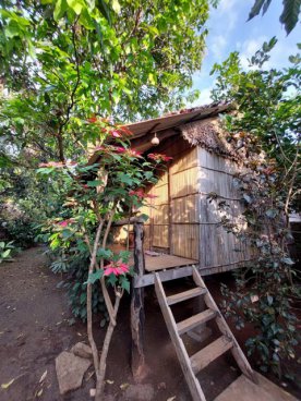 Kambodža autenticky – cesta do srdce chrámů a pralesa