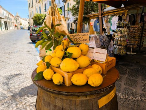 Chutě ostrovů Ischia a Procida