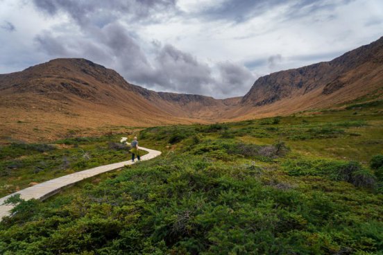 NEWFOUNDLAND – bájný vikingský Vinland 