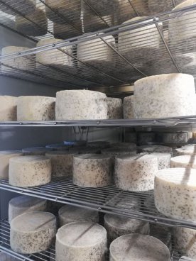 To nejlepší z Bilbaa + STAROBYLÁ VITORIA + GASTRONOMIE A TRADICE BASKŮ 