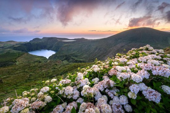 AZORSKÉ OSTROVY FLORES, CORVO A TERCEIRA – padesát odstínů zeleně