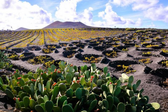 Lanzarote zrozené z ohně a vod Atlantiku