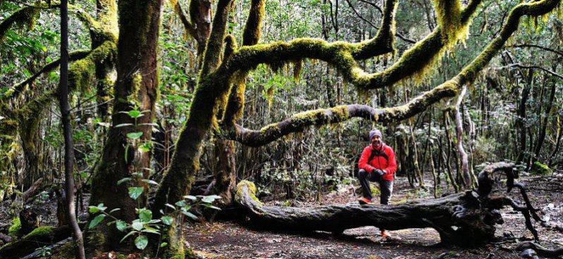 To nejlepší z ostrova La Gomera + TURISTIKA + SPECIALITY KANÁRSKÉ GASTRONOMIE 