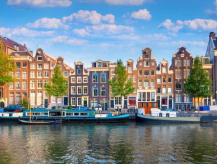 Amsterdam + Zaanse Schans + sýrové trhy