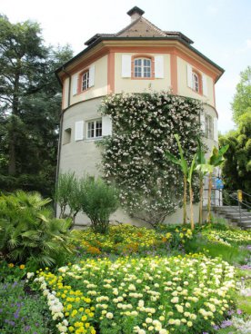 Květinový ostrov Mainau, nejstarší zubačka na Rigi, perly Bodamského jezera