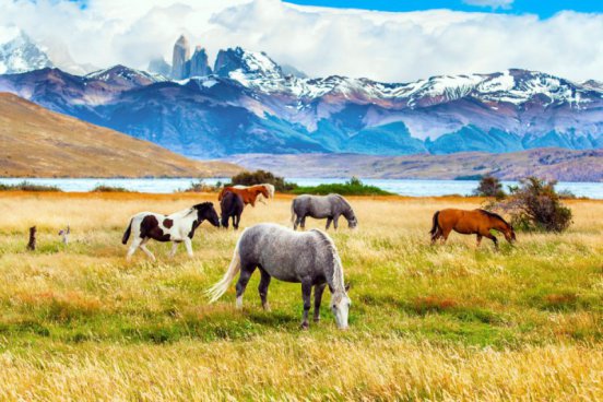 Patagonie a konec světa