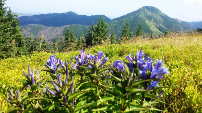 NP Malá Fatra a Západní Tatry ze slovenské i polské strany