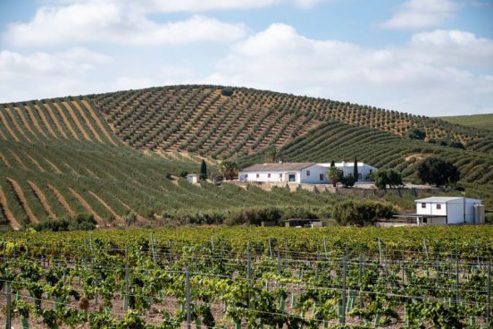 Cádizský záliv + NÁRODNÍ PARK DOÑANA + VINAŘSTVÍ OSBORNE S OCHUTNÁVKOU SHERRY 