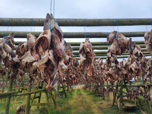 Unikátní cesta na Island