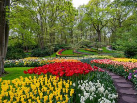 Velikonoční Amsterdam + KVĚTINOVÁ ZAHRADA KEUKENHOF + SLAVNÁ MUZEA (letecky z Pr