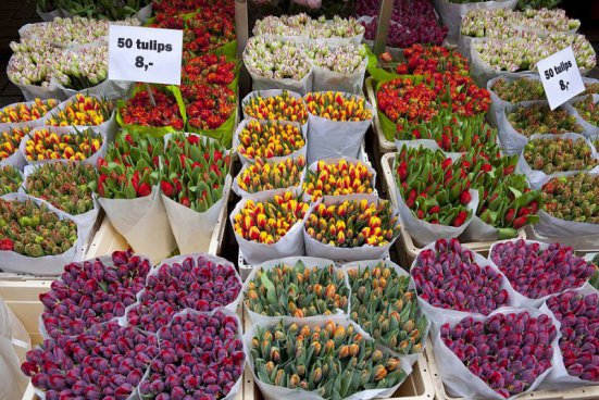 To nejlepší z Amsterdamu + KVĚTINOVÉ KORZO 