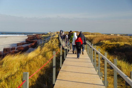 Tuleni na dosah ruky na ostrově Helgoland - 2 noci