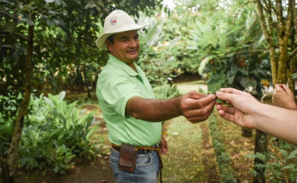 Kostarika - zelené srdce Střední Ameriky, vstupy do NP v ceně