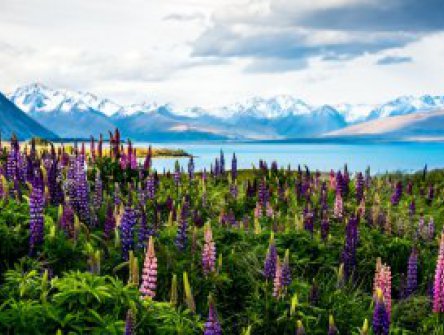 Nový Zéland - Výprava do Středozemě