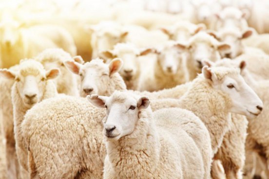 Nový Zéland - Výprava do Středozemě