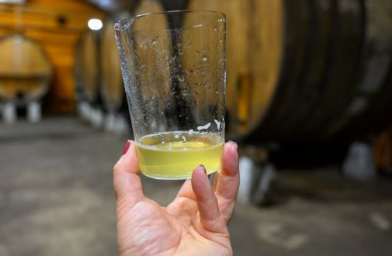 Severošpanělské Picos de Europa + SOUTĚSKA KAŇONU CARES + ASTURSKÁ GASTRONOMIE 