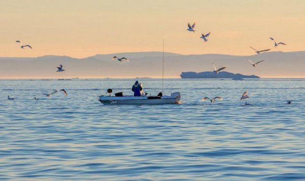 To nejlepší z Grónska + PŮLNOČNÍ SLUNCE NAD FJORDEM + PRAVÝ ŽIVOT OSADNÍKŮ 
