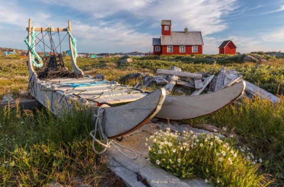 Poznávací zájezd Grónsko - Dobrodružství mezi ledovými obry