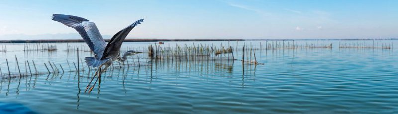 To nejlepší z Valencie + JEZERO ALBUFERA + PLÁŽ LAS ARENAS (letecky z Prahy)
