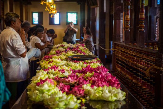 To nejlepší ze Srí Lanky + NÁRODNÍ PARKY + NEJKRÁSNĚJŠÍ PLÁŽ OSTROVA 