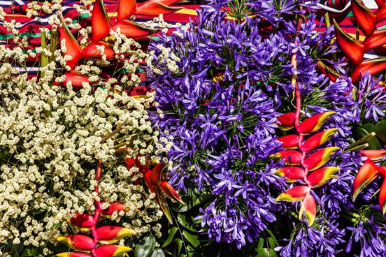 Květinové slavnosti na Madeiře
