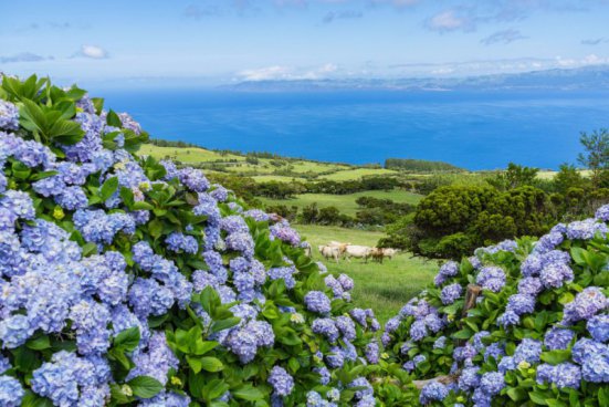 Nespoutané Azorské ostrovy