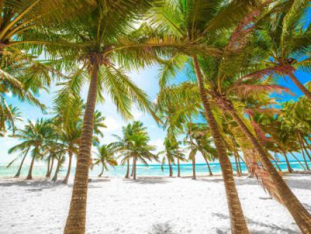 Relax na plážích Martiniku a Guadeloupe + PERLY FRANCOUZSKÝCH ANTIL + KREOLSKÁ K