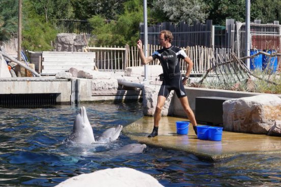Delfinárium a ZOO v Norimberku