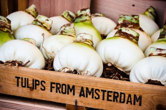 Velikonoční Amsterdam + KVĚTINOVÁ ZAHRADA KEUKENHOF + SLAVNÁ MUZEA (letecky z Pr