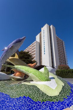 Hotel Izán Cavanna