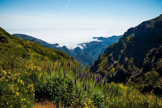 To nejlepší z Madeiry + KOUPÁNÍ NA OSTROVĚ PORTO SANTO 