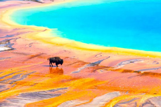 Yellowstone a přírodní krásy severozápadu USA