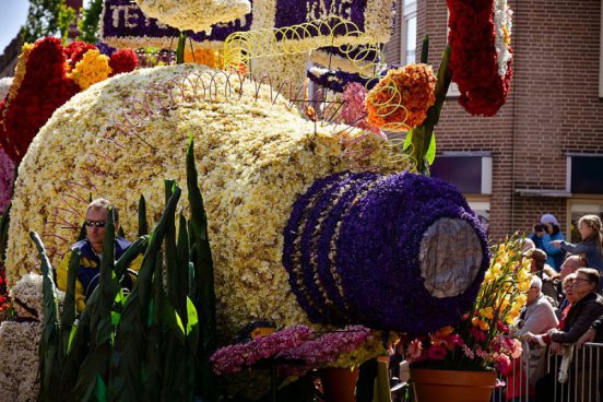 To nejlepší z Amsterdamu + KVĚTINOVÉ KORZO 