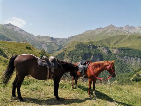 Poznávací zájezd Gruzie -  Přes Kavkaz k Černému moři, odlet z Katovic