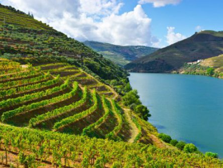 Porto + údolí Douro + Braga + Guimarães
