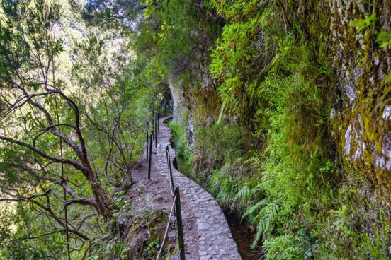 Madeira na Silvestra, odlet z Katovic
