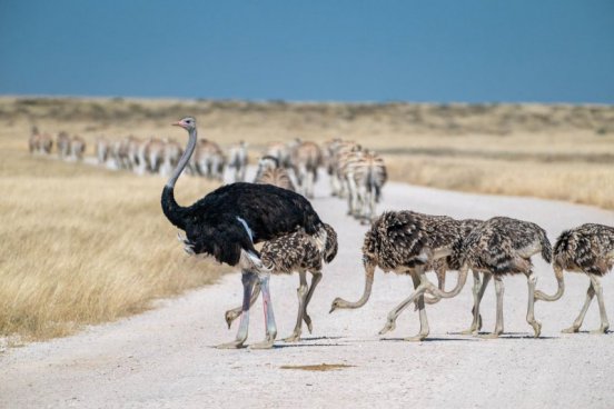 NAMIBIE - labyrint pouště a ráj barev
