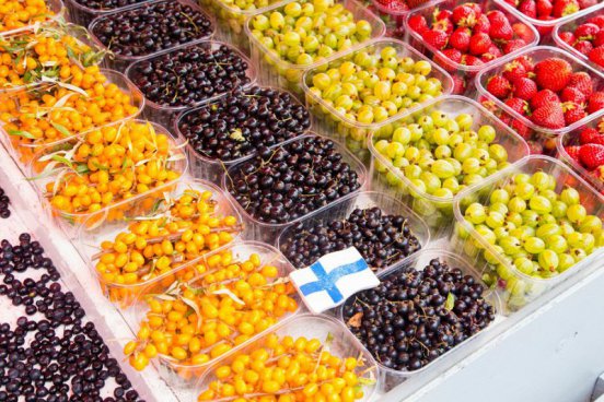 To nejlepší z Tallinu + NÁRODNÍ PARK LAHEMAA + HELSINKY 