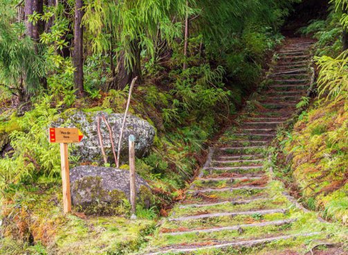 To nejlepší z ostrova São Miguel + TURISTIKA + OCHUTNÁVKA AZORSKÉHO ČAJE 
