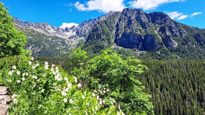 Národní parky Tatry a Pieniny z polské i slovenské strany – LUX