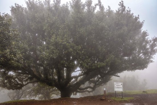 Madeira - turistika přes levády až k oceánu, odlet z Prahy