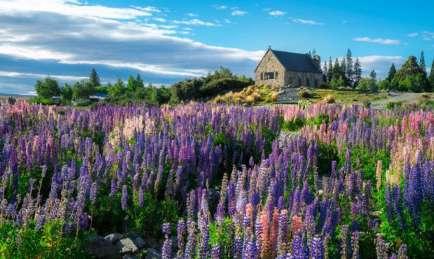 Nový Zéland - Výprava do Středozemě