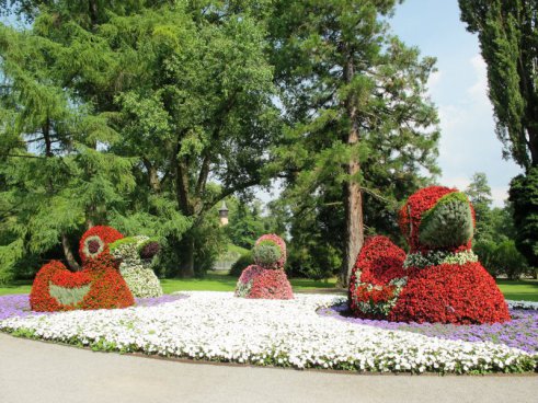 Květinový ostrov Mainau, nejstarší zubačka na Rigi, perly Bodamského jezera