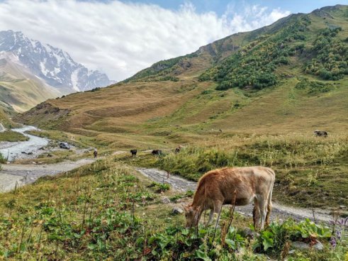 Poznávací zájezd Gruzie -  Přes Kavkaz k Černému moři, odlet z Katovic