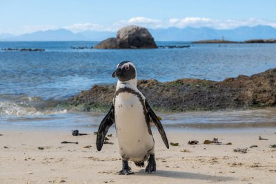 JAR - STOLOVÁ HORA, SAFARI A VINICE