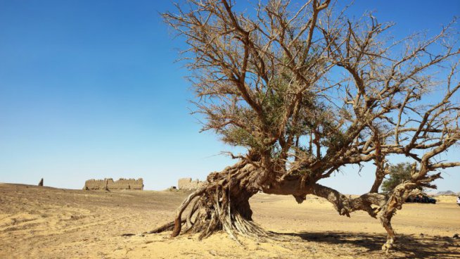 Egypt - oázy Západní pouště