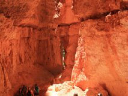 USA - Kaňony a pískovcovými skalami NP Zion a Bryce Canyon s návštěvou Las Vegas