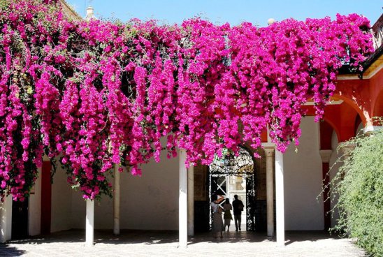 VELIKONOCE V ANDALUSII